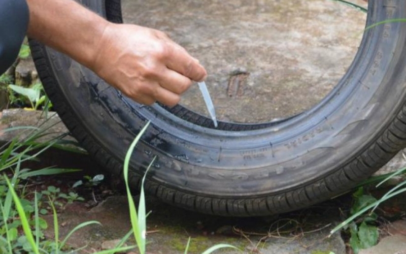 Chuvas: Secretaria estadual de Saúde alerta para o risco de aumento da infestação do Aedes aegypti