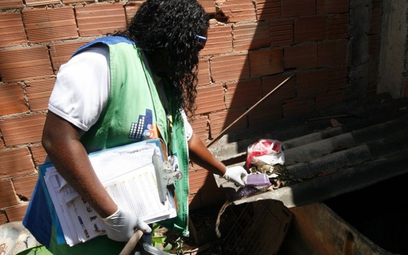 Prefeitura de São João de Meriti combate o mosquito Aedes Aegypti